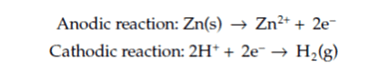 Anodic reaction: Zn(s) -> Zn2+ + 2e-, Cathodic reaction: 2H+ + 2e- -> H(2)g