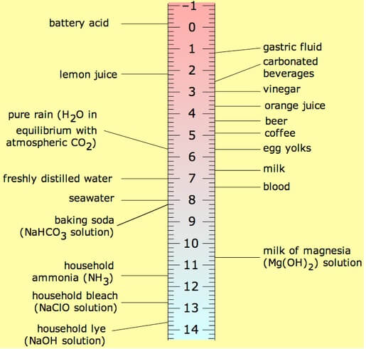 Figure 1. Scale showing the relationship between pH and the concentration of hydrogen ions compared to distilled water.