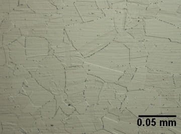 Stainless Figure1 Austenite grains in a 304 alloy. The particles on the grain boundaries are chromium carbides.